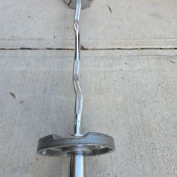 Curl Bar  2 10s  Olympic Weights With A Bench 