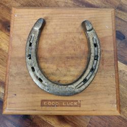 House Shoe Mounted Wall Art Good Luck