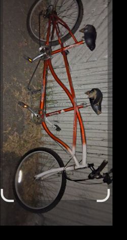 2seater  Greenline beach cruiser