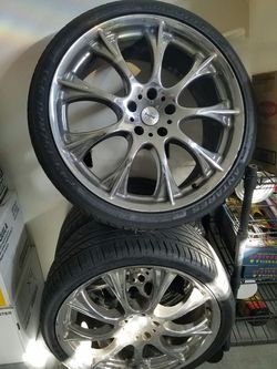 Momo 20'