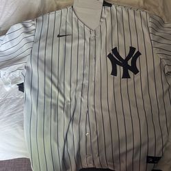 Yankees Xl