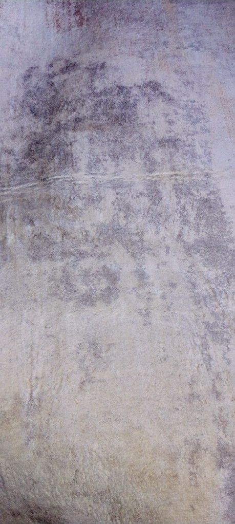 New 5x7 Carpet