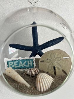 Beach Theme Terrarium 