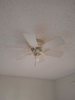 Ceiling fan