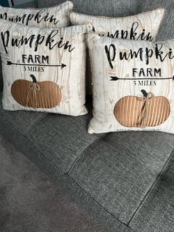 Two Pier One Fall Pillows