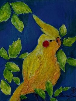 Original Oil Painting Cockatiel Bird on Canvas
