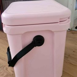 Yeti Roadie 20 Ice Pink...