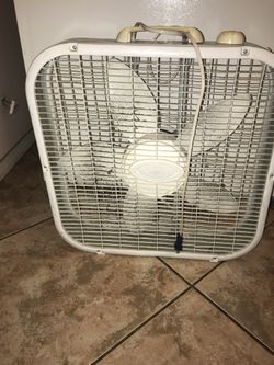 Fan