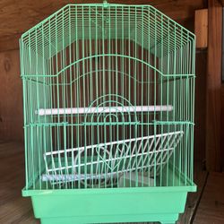 Bird Cage