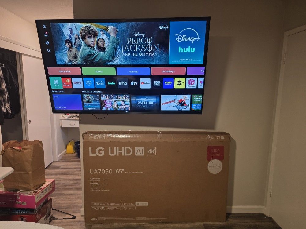 65" TV