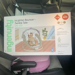 Baby Bouncer 