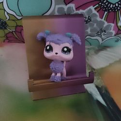 LPS TOY ( POODLE-).        PICK ⛏️ UP ONLY