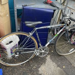 Nishiki Bike 