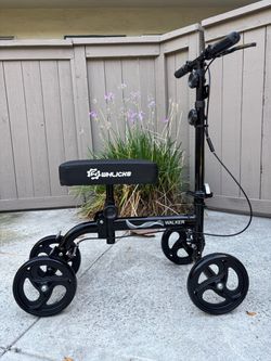 Knee Walker Whlicks