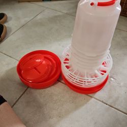 Chicken Feeder And Water