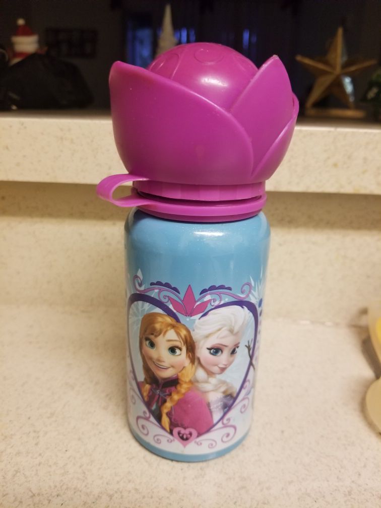 Disney Frozen Aluminum Water Bottle