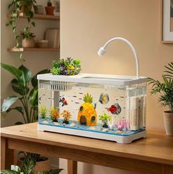 Fish tank 5 gallon