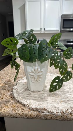 Artificial Plant /Home Decor