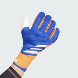 Goalie Gloves