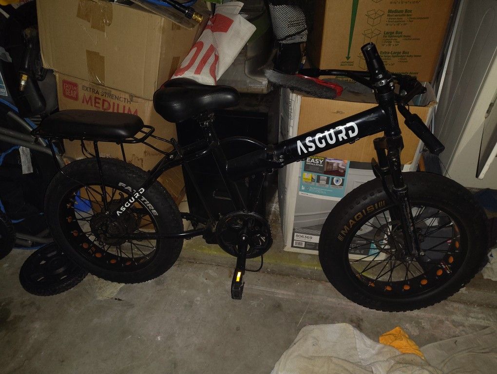 Project Ebike