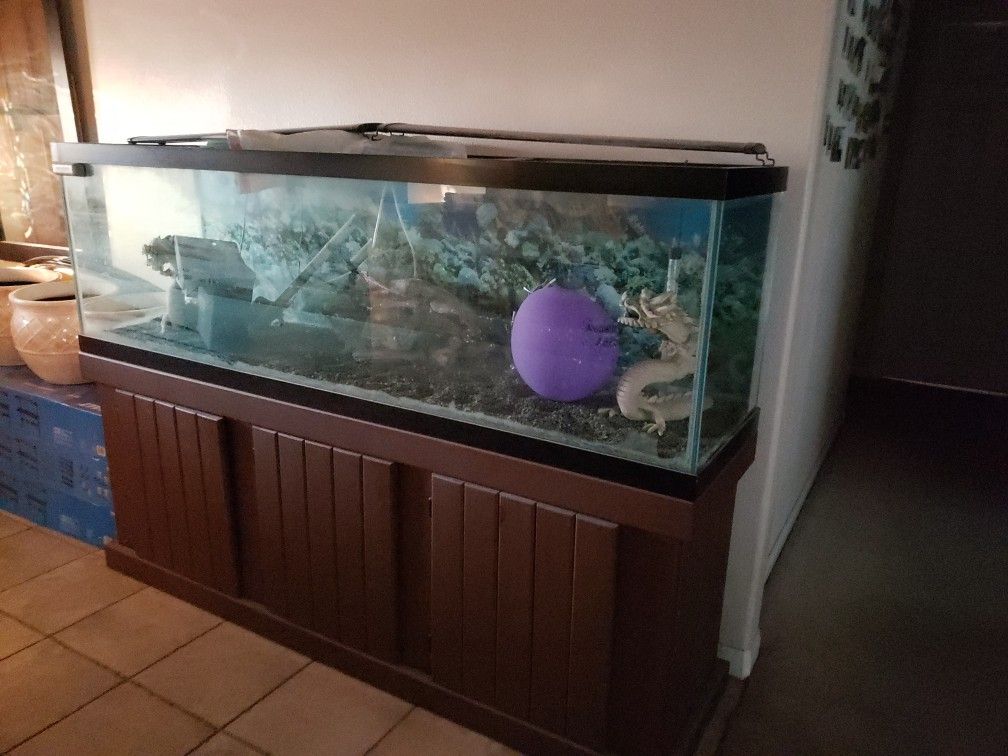 125 Gallon Tank
