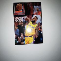 LeBron Picture 