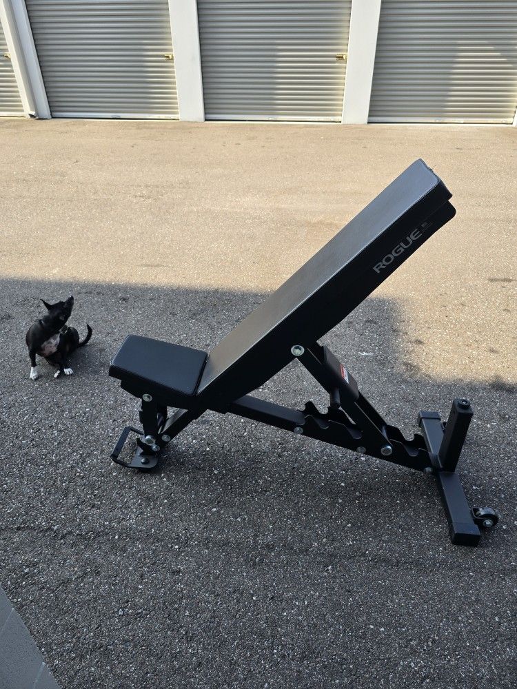 Weight Rogue Bench