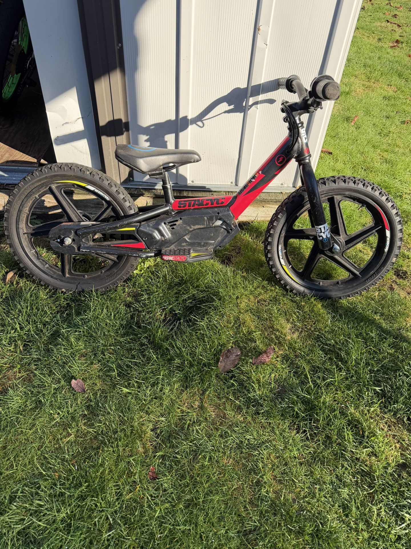 Kids Electric Bike