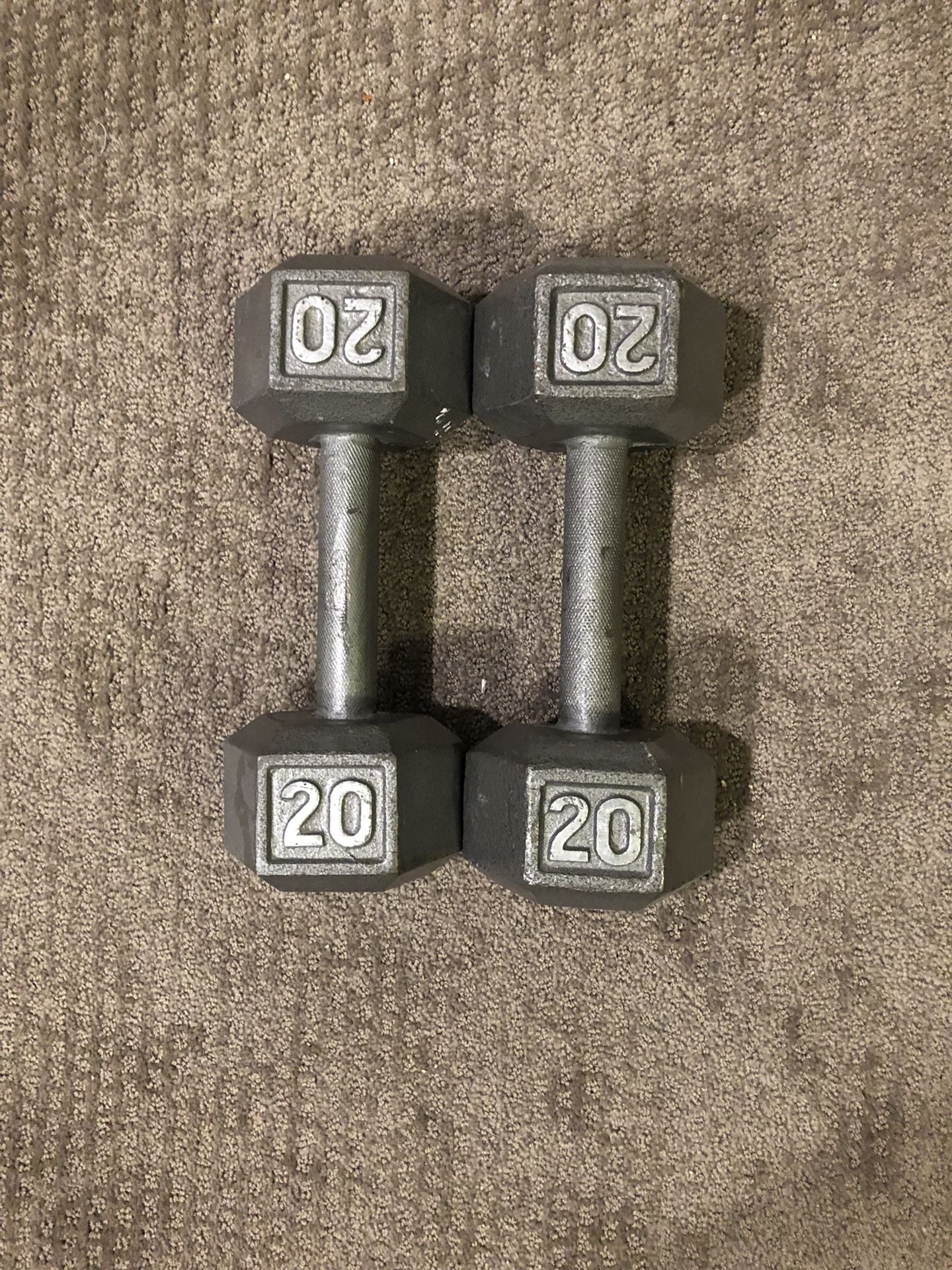 Two 20 lb dumbbells