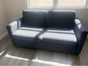 Living Spaces Sofa/Bed