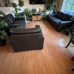 Leather Couches 