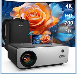 Projector