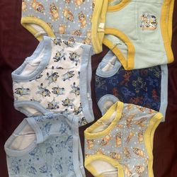 Potty Training Underwear 