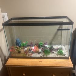 Fish Tank 