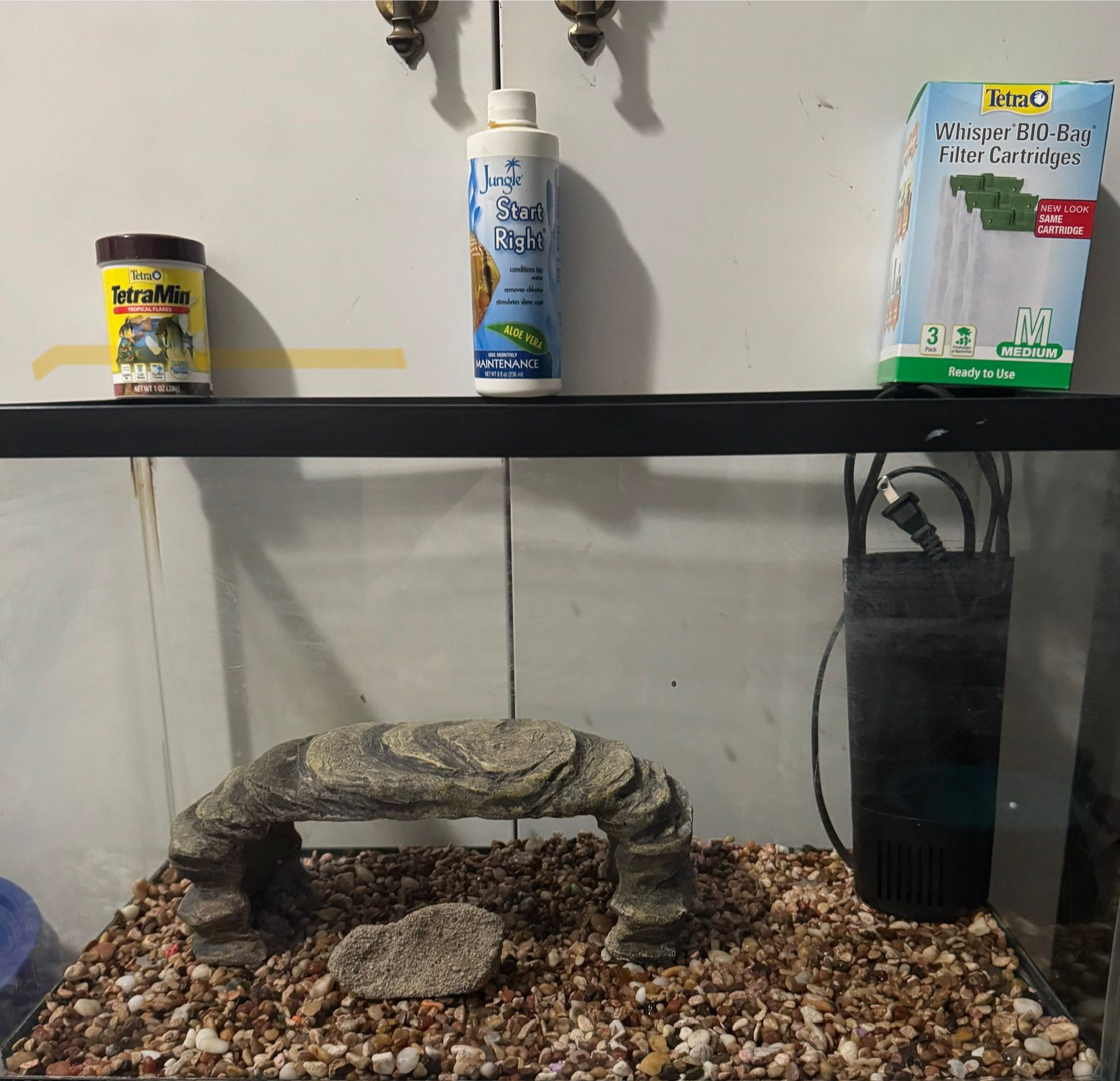 Fish Tank