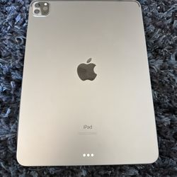 11-inch M1 iPad Pro 256GB