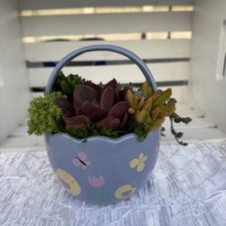 Easter Basket Succulent Arrangement