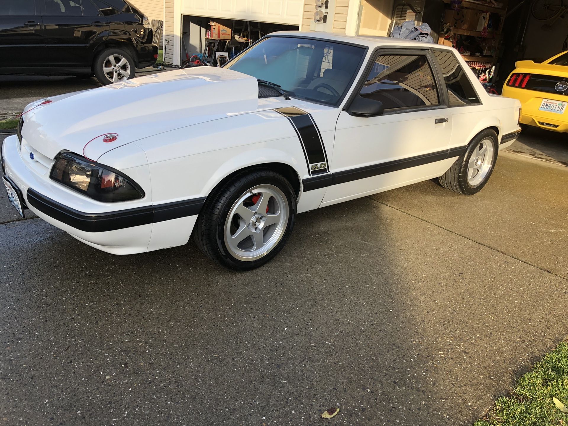 Mustang trade