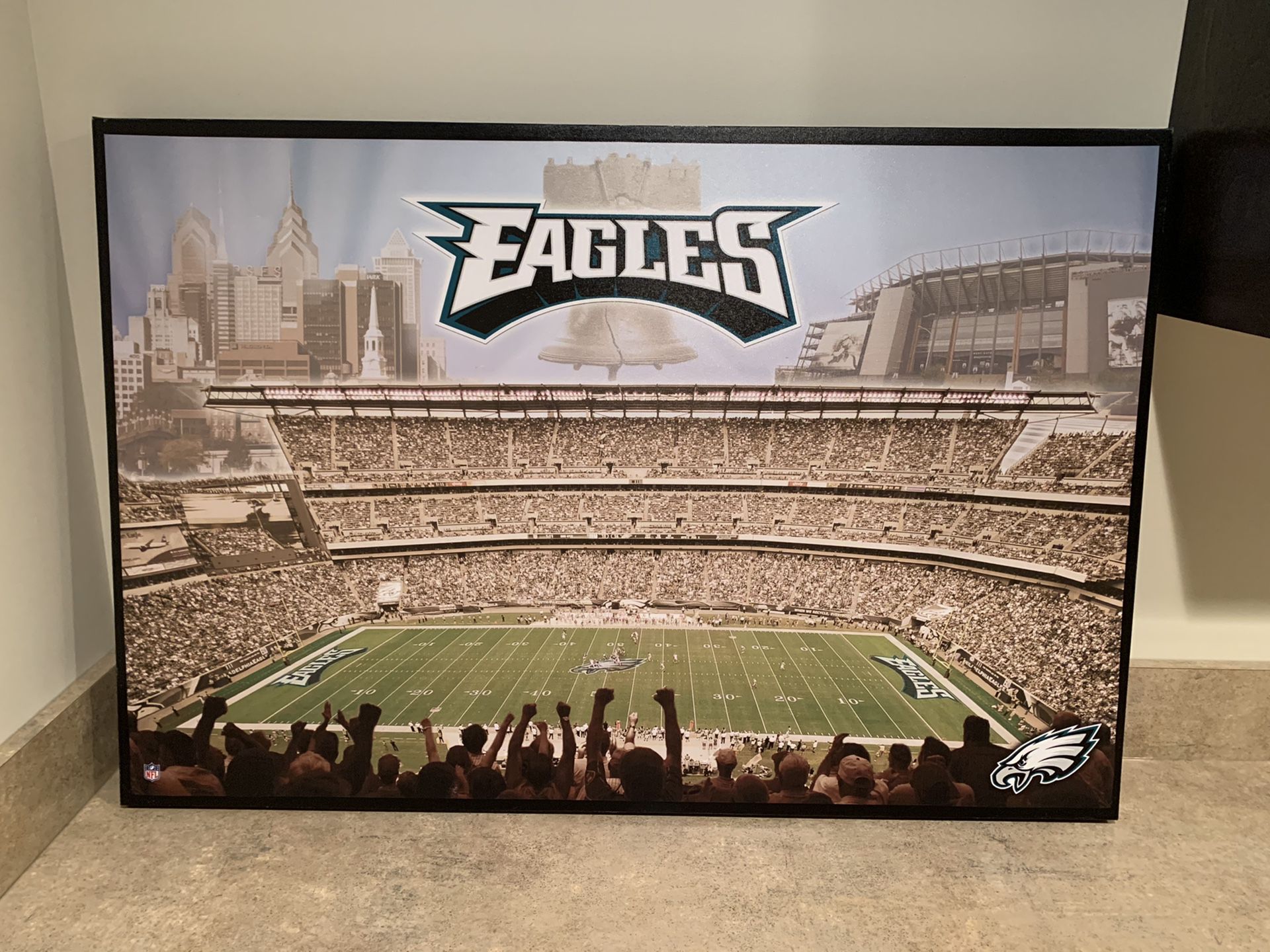 Philadelphia Eagles Canvas