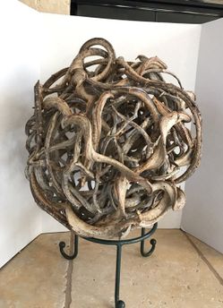 Tumbled vine - Thailand