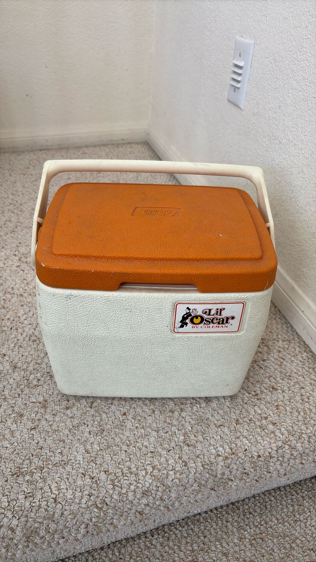 Coleman Ice Chest / Violet