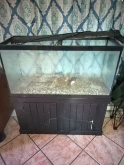 Reptile tank