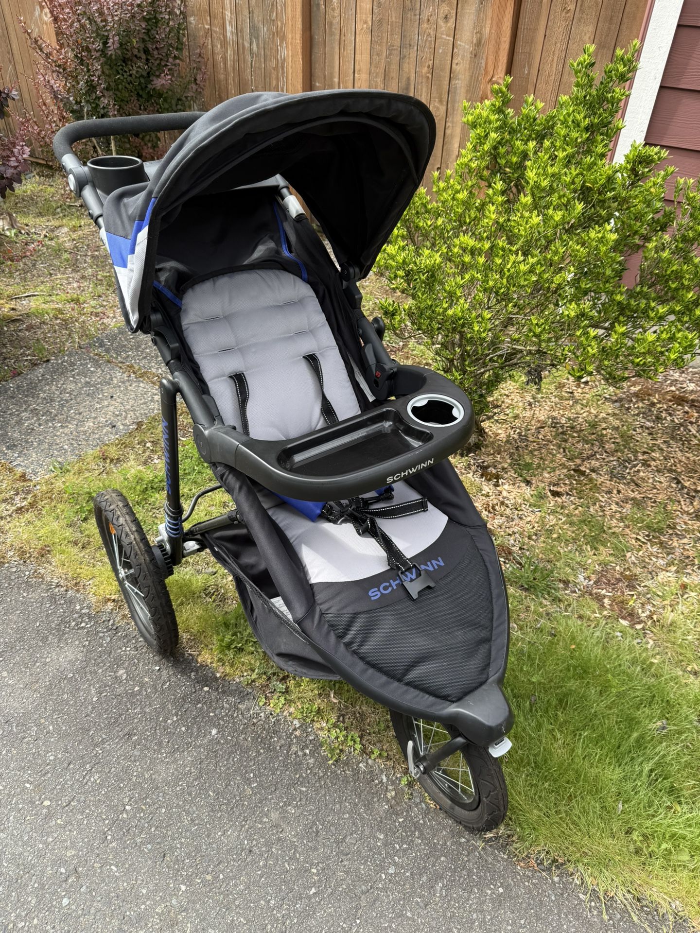 Schwinn Jogging Stroller