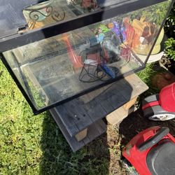 40 Gallon Aquarium 