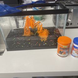 Small Tank/with Some Stuff