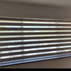 Zebra. Roller Shades. 