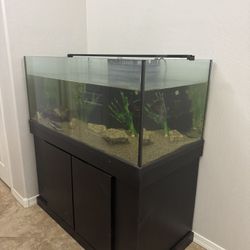 100 Gallon Rimless Aquarium