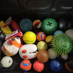Box Of Dog Items