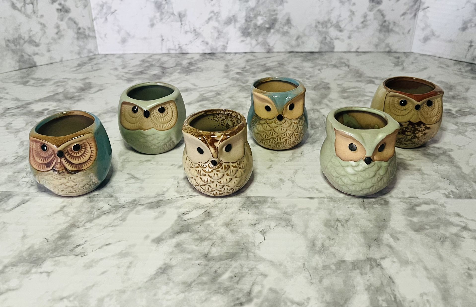 Set of 6 Owl Pots. Ceramic Succulent Pots Cactus Plant Pot Flower with Water Drainage. Never used.