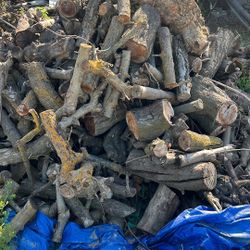 Fire Wood 